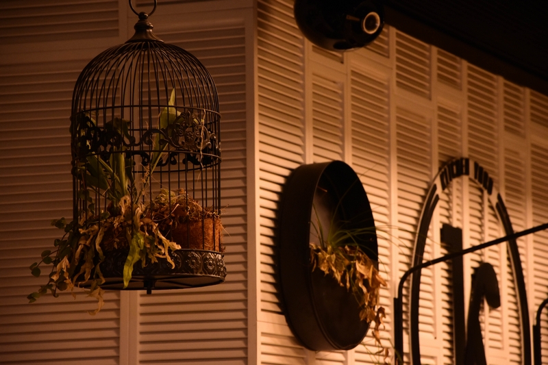 Kitchen Yard on Saturday Night